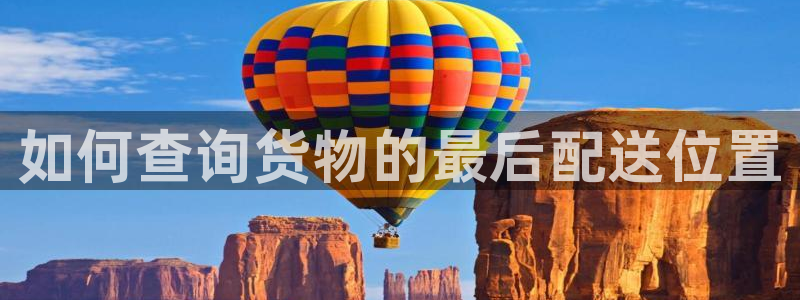 ,优游国际注册教程：如何查询货物的最