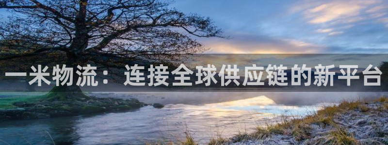 ,优游国际龙虎：一米物流：连接全球供
