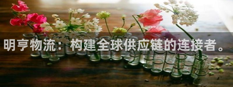 ,优游国际提现不到账：明亨物流：构建