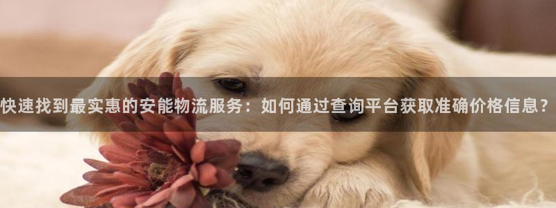 ,优游国际黑吗：快速找到最实惠的安能