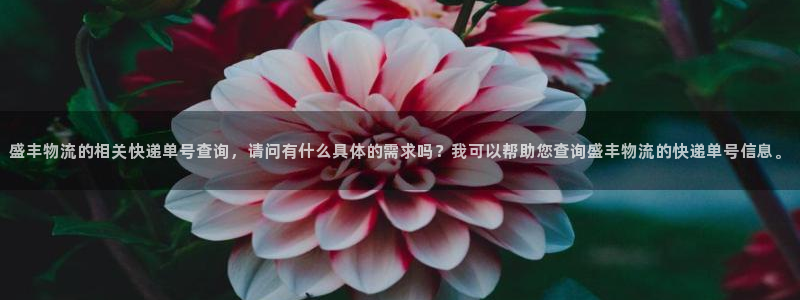 ,优游国际PG电子游戏：盛丰物流的相