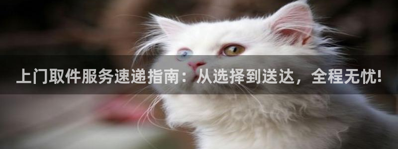 ,优游国际现在狂杀