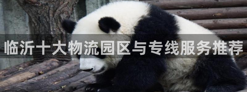 ,优游国际注册步骤：临沂十大物流园区