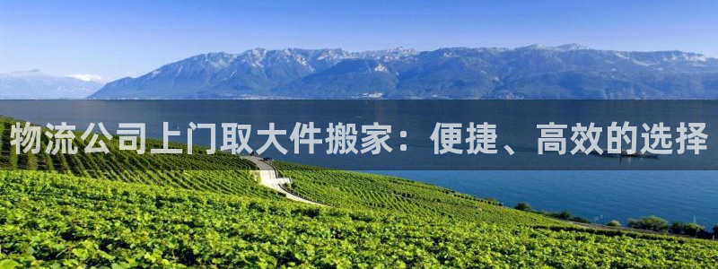 ,优游国际软件有什么用：物流公司上门
