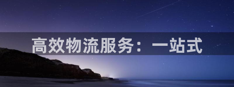 优游国际官网入口2024：高效物流服