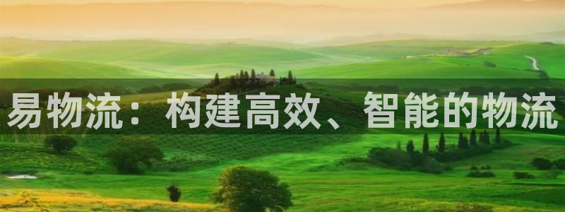 ,优游国际如何注销账号：易物流：构建