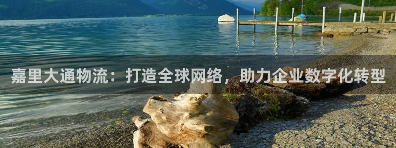 ,优游国际注册二维码：嘉里大通物流：