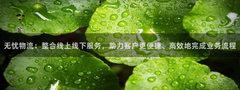 ,优游国际注册官网：无忧物流：整合线