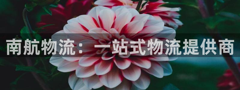 ,优游国际官网版所有版本：南航物流：