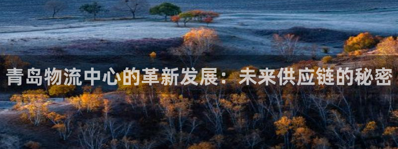 ,优游国际正规吗：青岛物流中心的革新