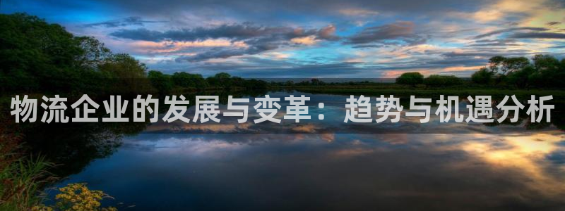 ,优游国际连接：物流企业的发展与变革