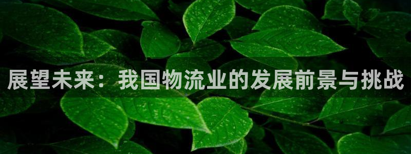 ,优游国际注册限制怎么解除：展望未来