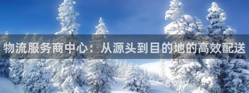 ,优游国际软件是诈骗吗：物流服务商中