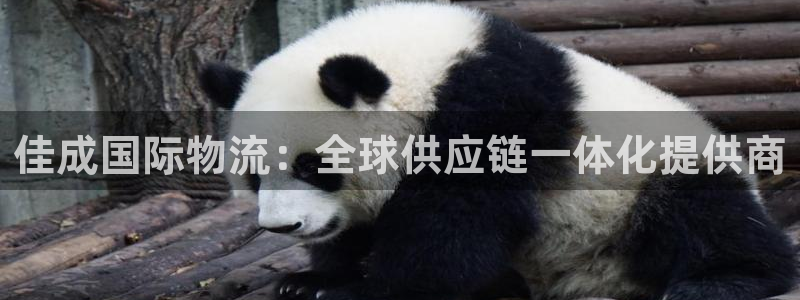 ,优游国际模拟器：佳成国际物流：全球