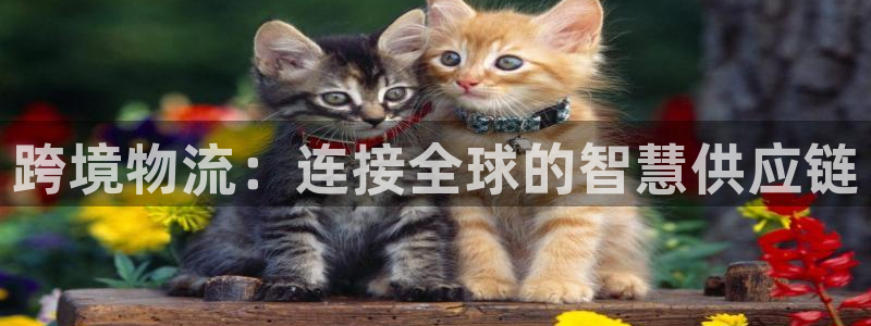 ,优游国际官方平台：跨境物流：连接全