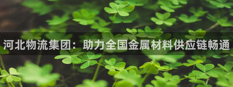 ,优游国际：河北物流集团：助力全国金