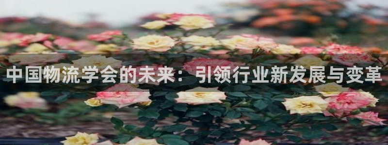 ,优游国际官方官网