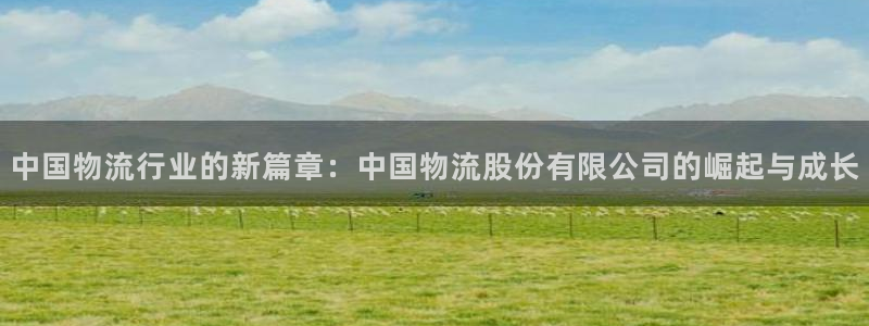 ,优游国际能不能退：中国物流行业的新