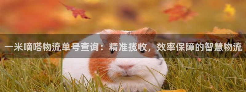 ,优游国际麻将：一米嘀嗒物流单号查询