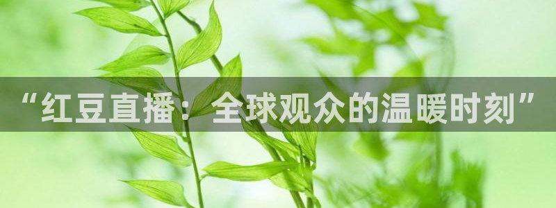 龙门nba直播：“红豆直播：全球观众的温暖时刻”