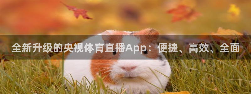 中超龙门直播：全新升级的央视体育直播App：便捷、高效、全面