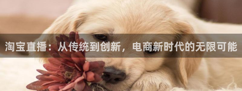 龙门直播体育直播：淘宝直播：从传统到创新，电商新时代的无限可能