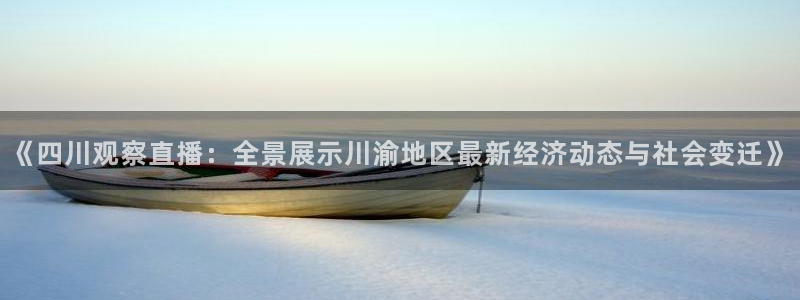 nba直播龙门：《四川观察直播：全景展示川渝地区最新经济动态与社会变迁》